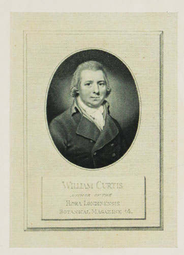 William Curtis