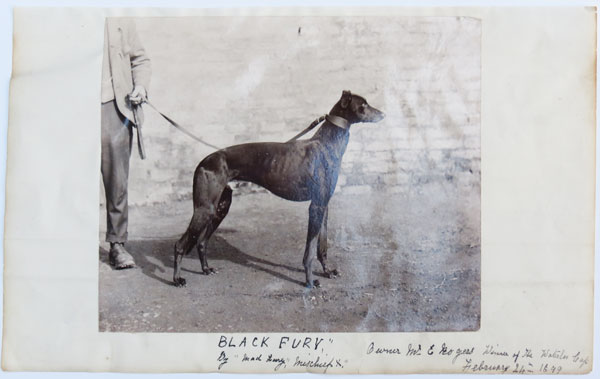 Black Fury, by 'Mad Fury' 'Mischief X'.