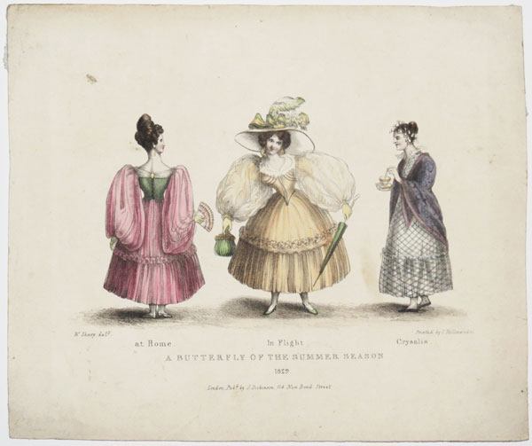 A Butterfly of the Summer Season 1829.