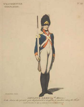 No. 59. Westminster Grenadier. Advance Arms (4.th Motion.)