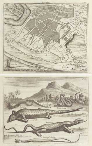 Olinda. [& plate of lizards, snakes, millepede and scorpion]
